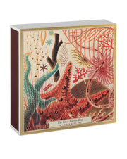 Great Barrier Reef Luxury Matches