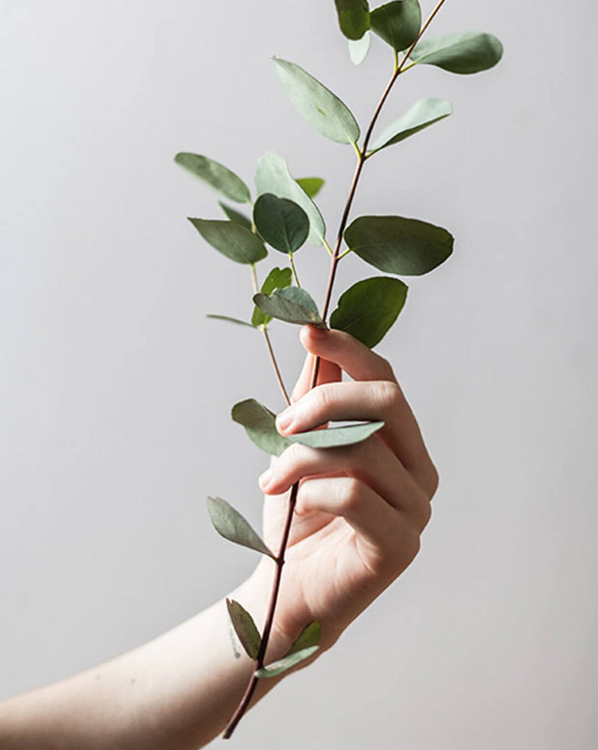 Ease | Eucalyptus + Peppermint Leaf | Bohemian Range by Keynvor
