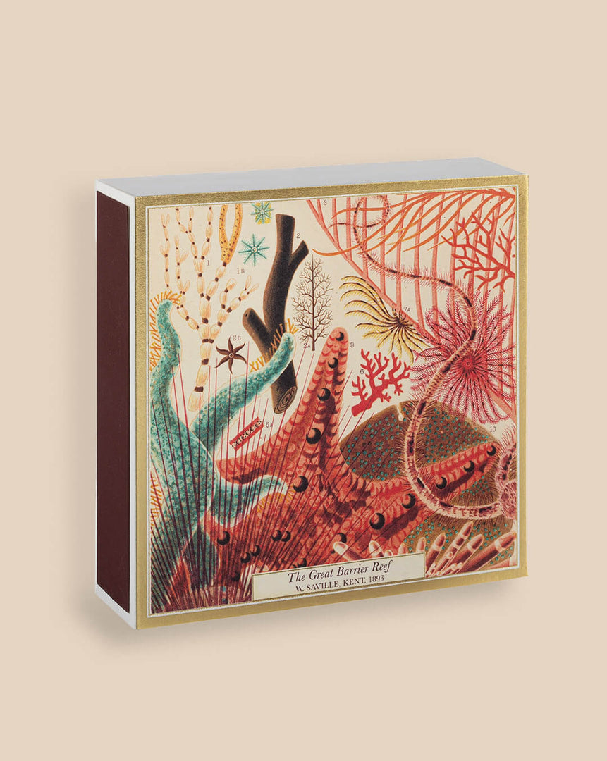 Great Barrier Reef Luxury Matches