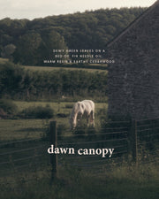dawn canopy | green + earthy premium soy candle